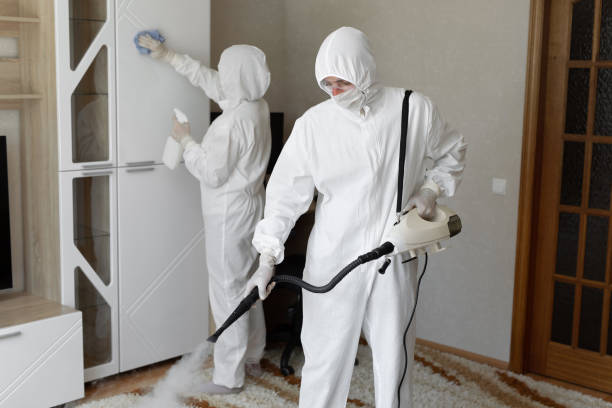 Home Mold Removal in Rutland, VT